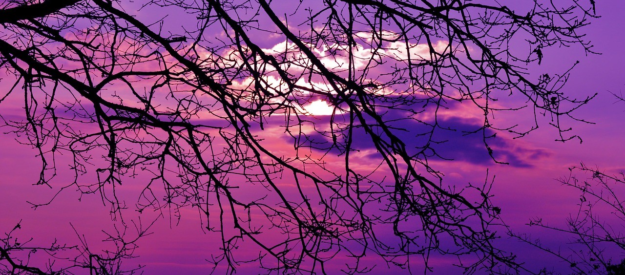 purple-sunset-614666_1280