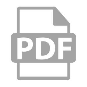 pdf icon big1 1